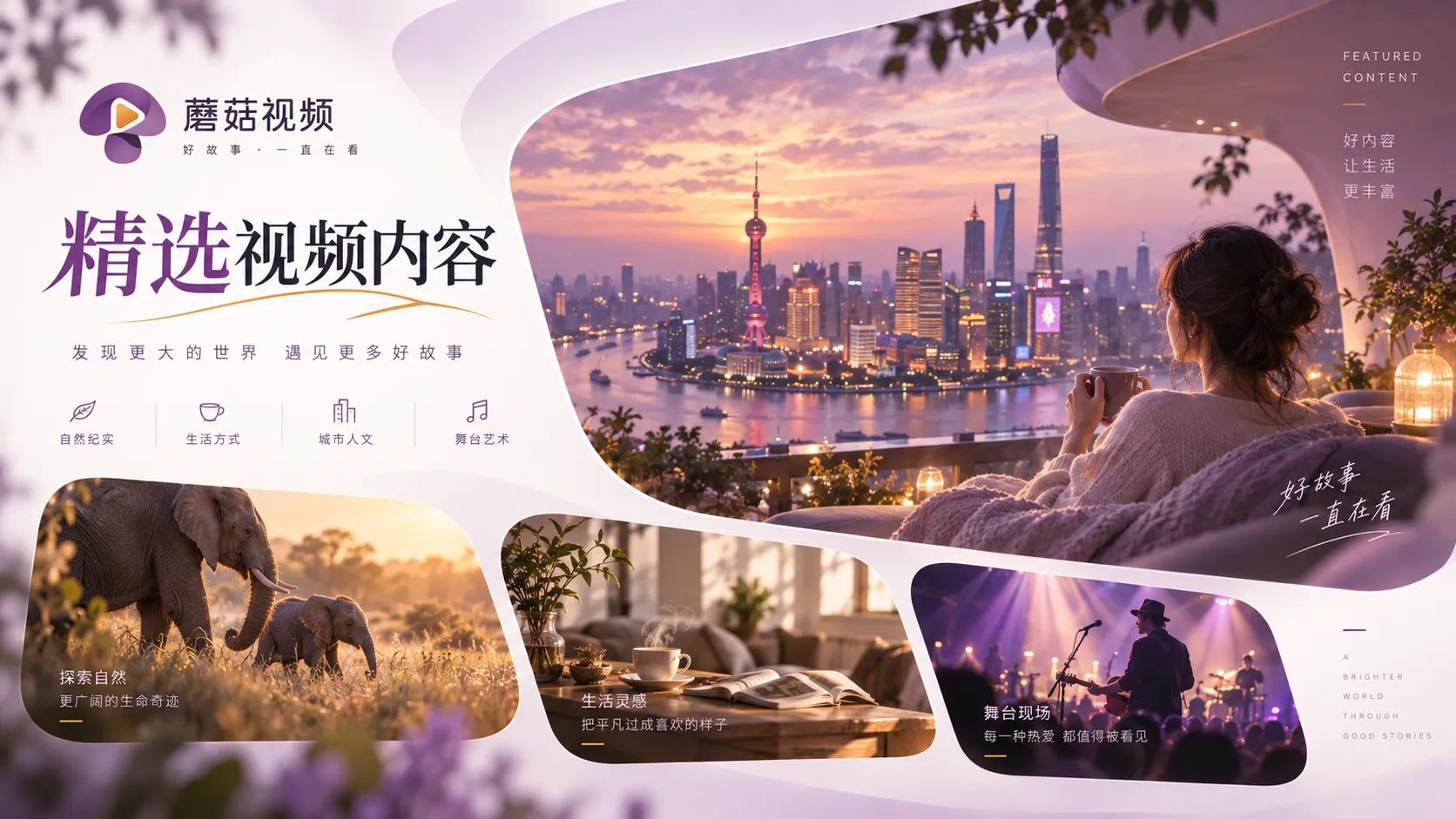 蘑菇视频在线观看内容索引